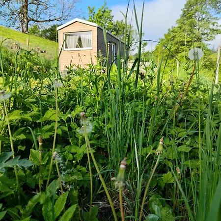 Tinyhouse Cecilka